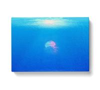 Jellyfish In Pink & Blue With Sunlight Modern Art Canvas Wall Art Print Ready to Hang, Framed Picture for Living Room Bedroom Home Office Décor, 50x35 cm (20x14 Inch)