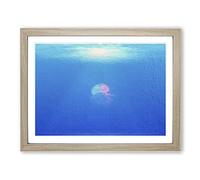 Jellyfish In Pink & Blue With Sunlight Modern Art Framed Print | A2 Oak Framed Wall Art | Ready to Hang | Modern Nature Picture | Living Room Bedroom Lounge Office