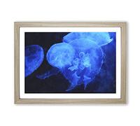 Jellyfish Vol.1 Painting Framed Print | A2 Oak Framed Wall Art | Ready to Hang | Modern Historical Picture | Living Room Bedroom Lounge Office