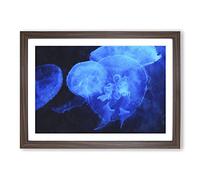 Jellyfish Vol.1 Painting Framed Print | A2 Walnut Framed Wall Art | Ready to Hang | Modern Historical Picture | Living Room Bedroom Lounge Office