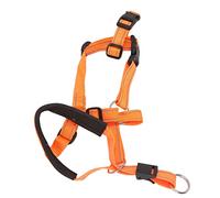Jelquix Dog Head Collar Adjustable Breathable Head Harness for Outdoor Activity, Soft Nylon Dog Mouth Cover 1 Unit (L)