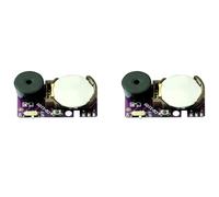 Jemcgrl 2PCS Cricket Noise Maker Prank Annoying Noise Maker Annoying PCB Beeping Hidden Prank Sounds Intervals Noise