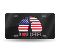 Jemison, Steve - Last Scene in Evergreen