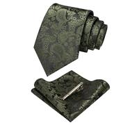 JEMYGINS Graceful Paisley Elegant Men's Tie and Pocket Square with Tie Clip Sets, olive green, M