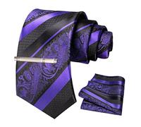 JEMYGINS Mens Mixed Roses Striped Tie Set Including Tie Clip & Handkerchief, purple, M