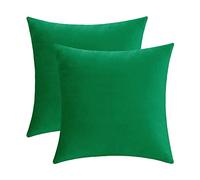 Jeneoo Set of 2 Comfy Soft Velvet Christmas Throw Pillow Cases for Sofa Couch, Decorative Solid Square Cushion Covers for Bedroom Car (18 x 18 Inches, Bright Green)