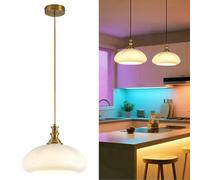 jengush Vintage Pendant Lamp with Remote Control, Battery Operated Pendant Light without Power Connection, 9 Colours Dimmable Pendant Lamp for Any Room, Elegant Pendant Light for Cosy Atmosphere