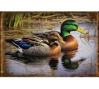 Jenifu Two Mallard Ducks Swimming Metal Tin Signs Wild Birds Animal Tin Signs Ducks Tin Sign For Outdoor Indoor Lake Garden Country Bedroom Home 8x12 Inch