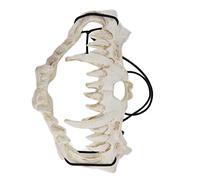 Jenivaint Latex Skull Mask with Tiger Tooth Pattern for Scary Costume | Adjustable Strap, Natural Latex Material, Role Play, Festival, Haunted House, Theater, Portable 6.3x3.9x3.1in