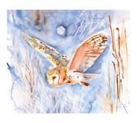 Jennifer Rose Barn Owl Winter Sky Canvas Print Blue/brown (30.5Cm X 4Cm X 40.5Cm)
