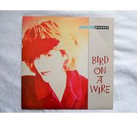 Jennifer Warnes - Bird On A Wire