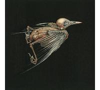 Jenny Hval & Susanna – Meshes Of Voice – CD – US Import