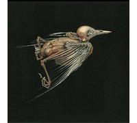 Jenny Hval & Susanna – Meshes Of Voice – CD – US Import