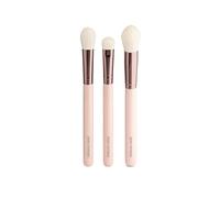 Jenny Patinkin Touch Up Makeup Brushes 3(Pcs) Blend/Set, Conceal/Buff, Powder/Highlight for Flawless Application