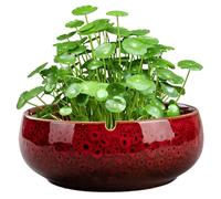 Jeorywoet Ceramic Plant Pots, Lotus Bowl Planter, 6.5x2.5 Inch Round Ceramic Plant Pots, Vintage Decorative Lotus Flower Bowl, Non Slip Water Lily for Succulent Plants, Flower, Red