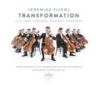 Jeremias Fliedl: Transformation