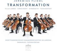 Jeremias Fiedl - Transformation