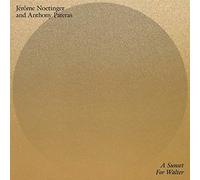 Jérôme Noetinger and Anthony Pateras - A Sunset For Walter [VINYL]