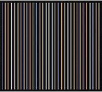 Jérôme Noetinger & Anthony Pateras - 15 Coruscations