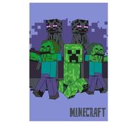 Jerry Fabrics Minecract Fleece Blanket - Super Soft Blanket Fleece Throws 100 x 150cm - Gifts for Children, Teenagers and Adults Bedspread Throw
