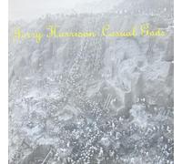 Jerry Harrison: Casual Gods - Casual gods [VINYL]