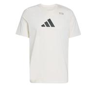 Adidas Climacool Category Training Graphic Short Sleeve T-shirt White S Men