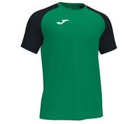 Joma Mens Academy Iv T-Shirt, Green, XL EU
