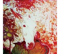 Jerusalem In My Heart - If He Dies, If If If If If If [VINYL]