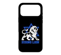 Jerusalem Israel Rising Lion Jewish Star Of David Vintage Case for iPhone 17 Pro Max