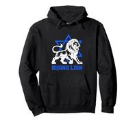 Jerusalem Israel Rising Lion Jewish Star Of David Vintage Pullover Hoodie
