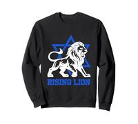 Jerusalem Israel Rising Lion Jewish Star Of David Vintage Sweatshirt