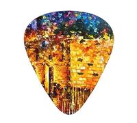 Jerusalem Jewish Guitar Paddle 12 Pack Guitar Pickup Suitable For Playing Acoustic Guitars, Electric Guitars, Etc.