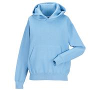 Jerzees Schoolgear Childrens Hooded Sweatshirt (11-12) (Sky Blue)