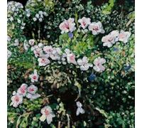 Jess Locke - Don't Ask Yourself Why