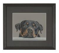 Jess Myers Art "hard-done-by" Original Pencil Drawing