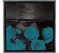 Jessica Bailiff - At the Down Turned Jagged Rim of the Sky [VINYL]