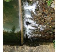 Jessica Moss : Phosphenes CD (2021) NEW FREE Shipping, Save £s