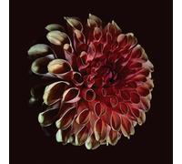 Jessica Moss - Unfolding