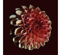 Jessica Moss - Unfolding [VINYL]