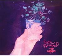 Jessica93 - Who Cares