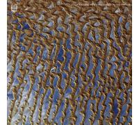 Jessika Kenney & Eyvind Kang - The Face Of The Earth [VINYL]