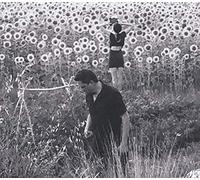 Jesu/Sun Kil Moon - America's Most Wanted