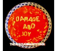 Damage and Joy, Jesus and Mary Chain, New