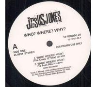 Jesus Jones - WHO WHERE WHY 12 INCH (12" VINYL) UK FOOD 1991