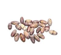 Jet International Narmada Lingam Runes Set - Sacred River Stone with Ancient Rune Symbols for Divination, Healing, Meditation & Spiritual Guidance
