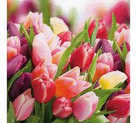 Jet Papier Serviettes Pack of 20