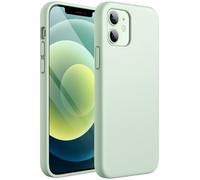 JETech Silicone Case for iPhone 12 mini, Light Green | Silky Soft Touch, Shockproof Protection, Scratch Resistant, Microfiber Lining