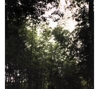 Jetenderpaul - The Woolen Spires