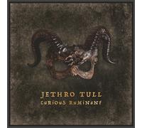 Jethro Tull : Curious Ruminant VINYL Limited Deluxe 12" Album (Multiple