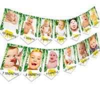 JeVenis Jungle Gold Monthly Photo Banner Wild One Monthly Photo Banner Safari First Birthday Decor Monthly Photo Decoration Zoo Jungle Decoration